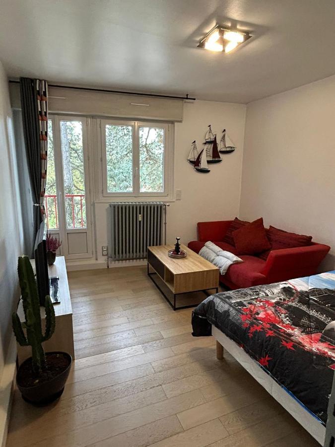 Appartement Jolie Vue Wifi 贝桑松 外观 照片