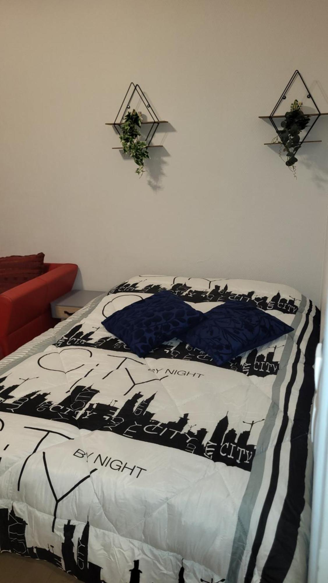 Appartement Jolie Vue Wifi 贝桑松 外观 照片
